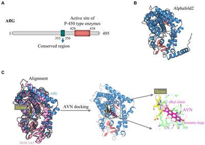 Structure-guided discovery of novel AflG inhibitors for aflatoxin contamination control in aspergillus flavus